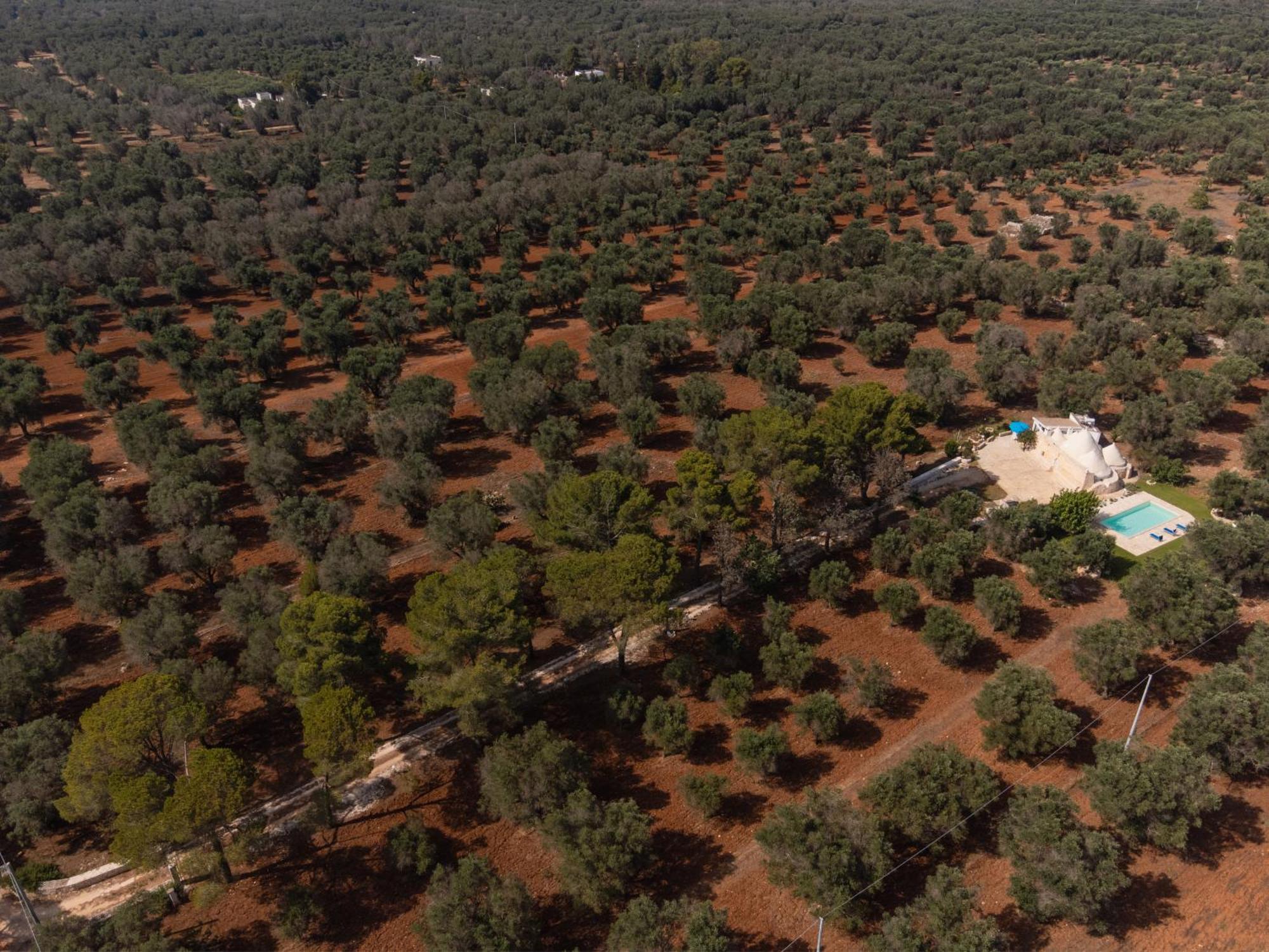Trullo Tarantini Con Piscina Privata Διαμέρισμα Latiano Εξωτερικό φωτογραφία