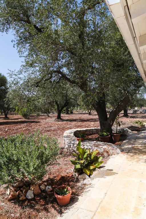 Trullo Tarantini Con Piscina Privata Διαμέρισμα Latiano Εξωτερικό φωτογραφία